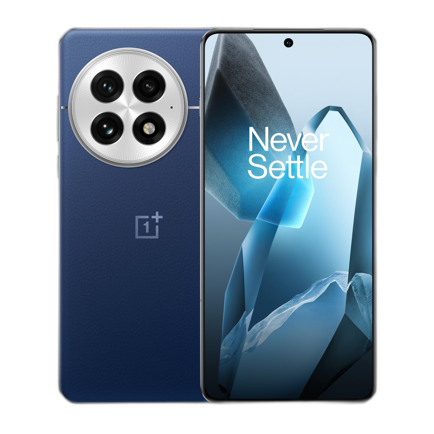 OnePlus 13